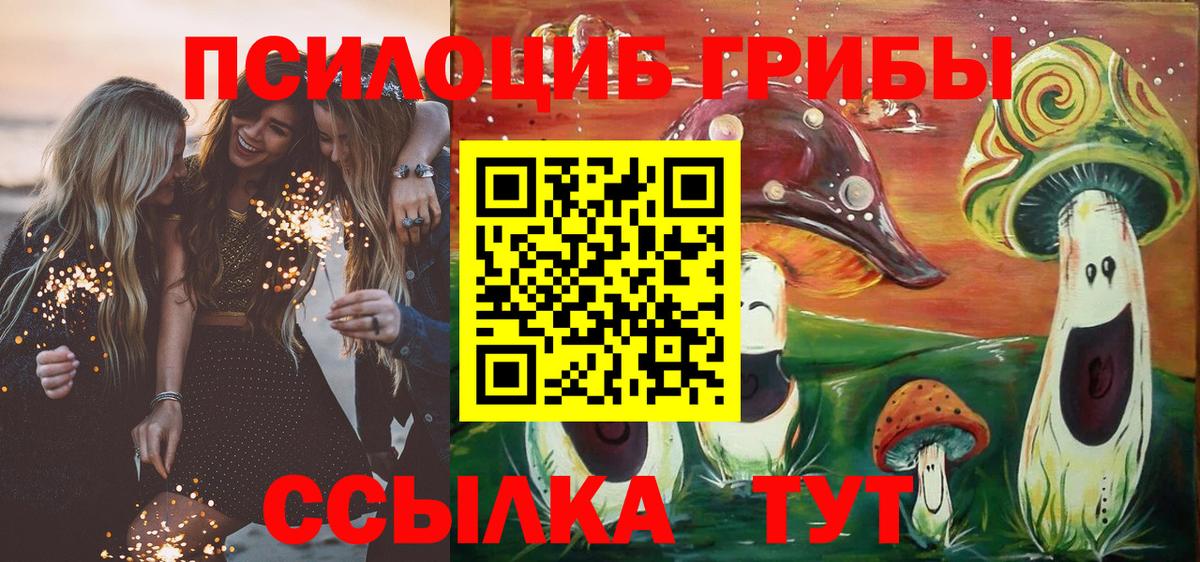 Псилоцибиновые грибы Magic Shrooms  купить наркотик  Белогорск  Вход с VPN 